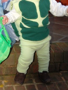 Turtle Costume Front