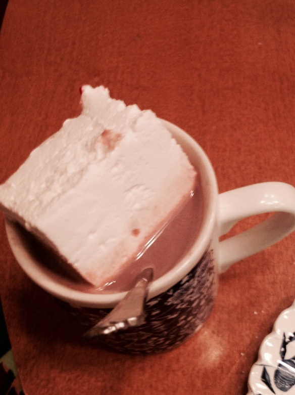 Marshmallow in Cocoa